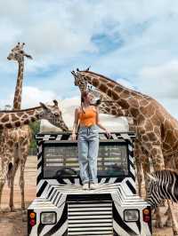 🇹🇭 泰國旅行·北碧府野生動物園Safari Park