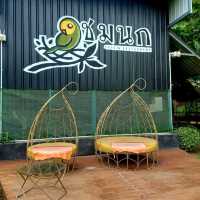 ร้านอาหารอร่อย บรรยากาศดี ชมนก คาเฟ่ นครนายก