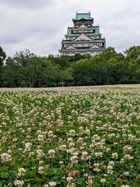 日本大阪-拍攝大阪城的絕佳之處：西の丸庭園