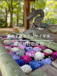 毎年見たくなる💗フォトジェニックなあじさい手水☺️💠💐