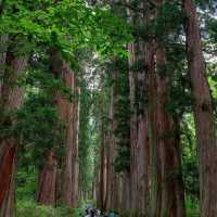 「尊寶寺：歷史悠久、庭園美麗」