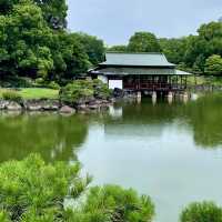 「百合之原公園」繽紛花海，心曠神怡