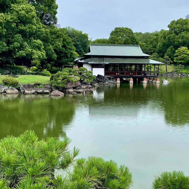「百合之原公園」繽紛花海，心曠神怡