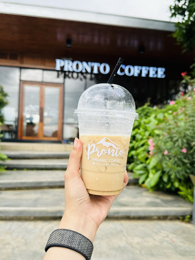Pronto Coffee @ Chiang Dao 