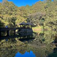 Alishan Taiwan