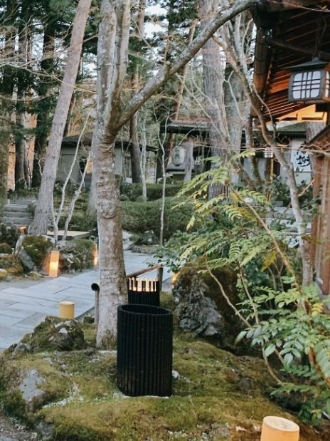 Fuji view at Hotel Kaneyamaen 