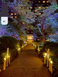 有名ホテルの庭園で絶景体験☺️✨高輪廿六夜✨竹あかり