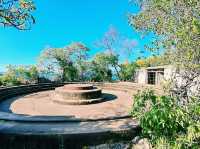 The Forts