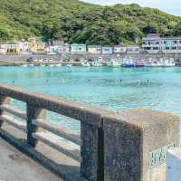 【高知】エメラルドグリーンの高知西南端の島