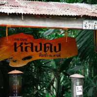 หลงดง คาเฟ่ พัทลุง
