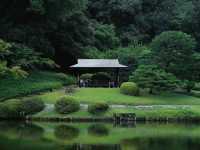 【東京代代木公園】秋天景色美不勝收，享受大自然能量！🔥🏖️