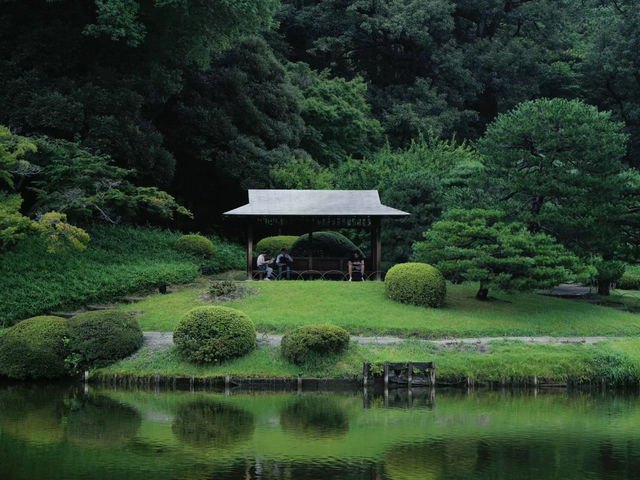 【東京代代木公園】秋天景色美不勝收，享受大自然能量！🔥🏖️