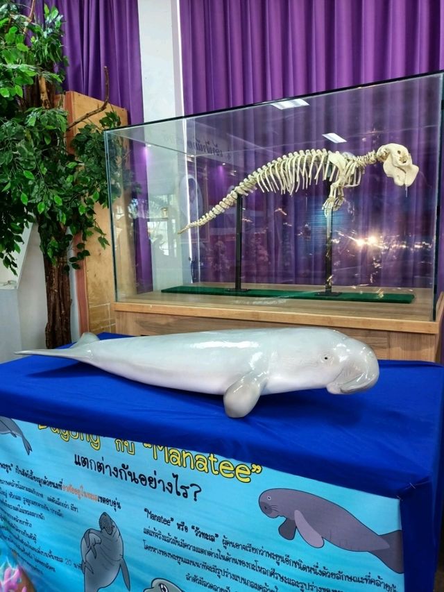 พิพิธภัณฑ์ทางทะเล at แสมสาร