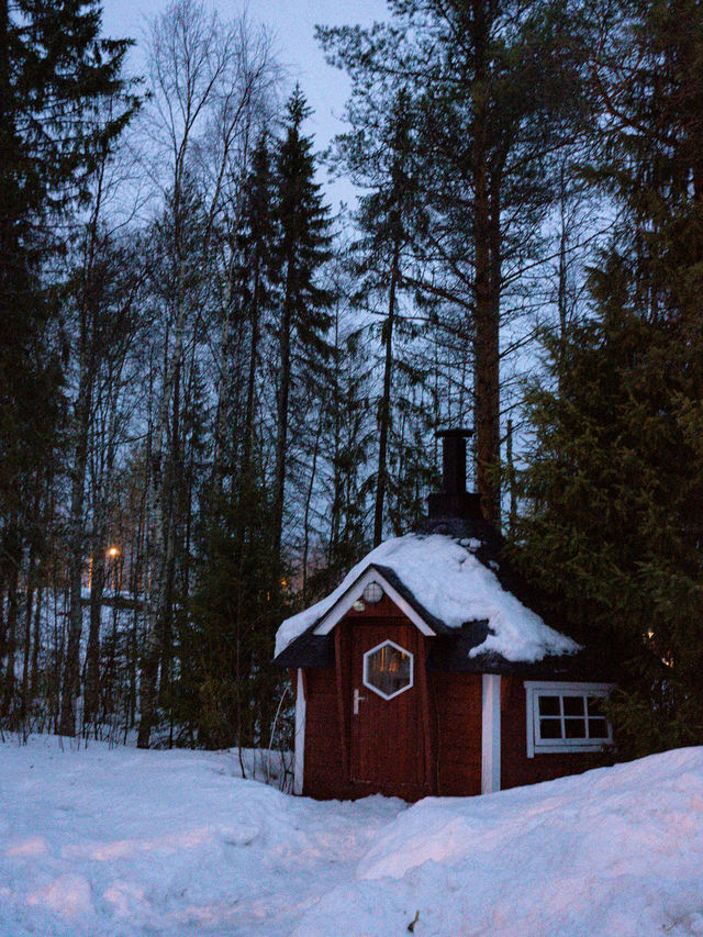 📍Vikajärvi Lake View Experience Igloos