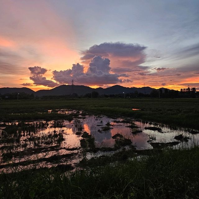 อิ่มท้อง พร้อมชมวิว ที่เพชรบุรี