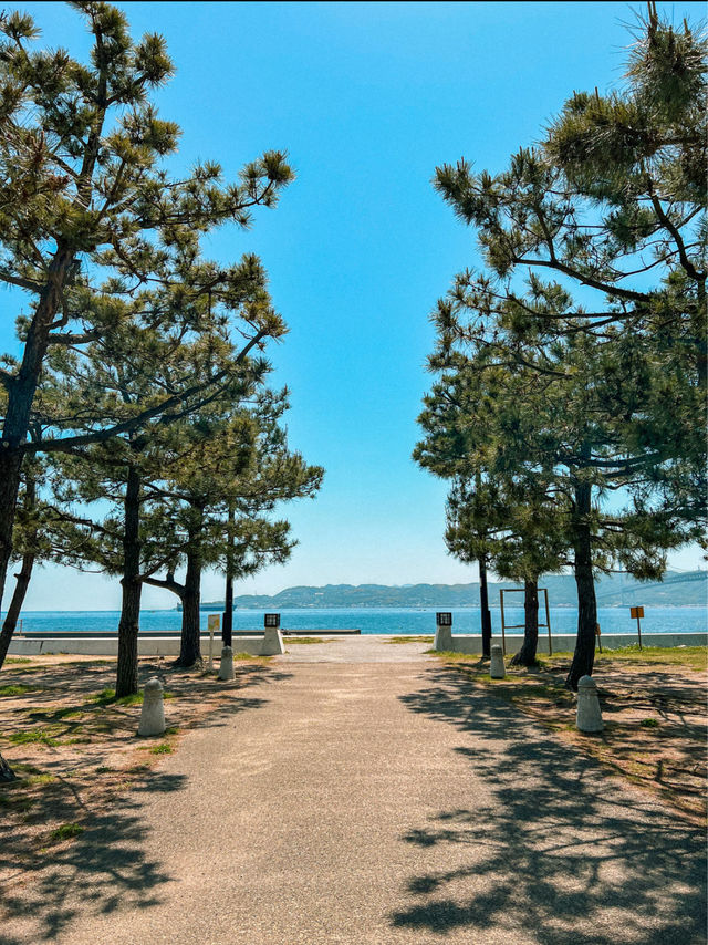 Kobe's Most Beautiful Beach in Maiko, Japan 🇯🇵