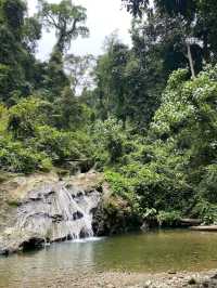 Danum Valley Conservation Area