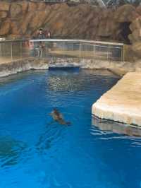 Review 🐠 อควาเรียมที่ตั้งอยู่ภายใน Ocean Park