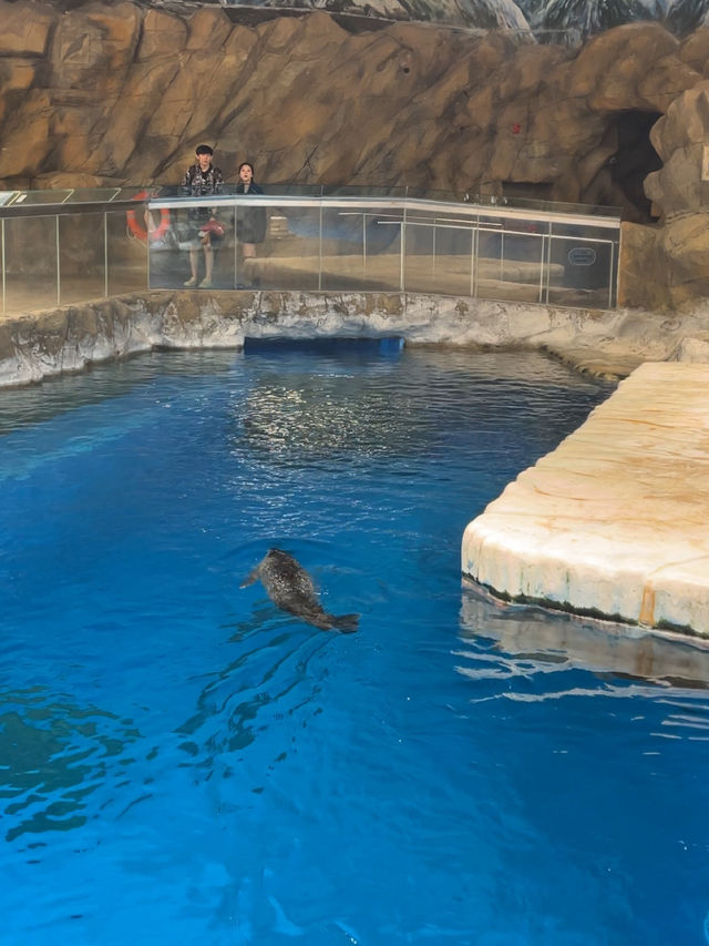 Review 🐠 อควาเรียมที่ตั้งอยู่ภายใน Ocean Park
