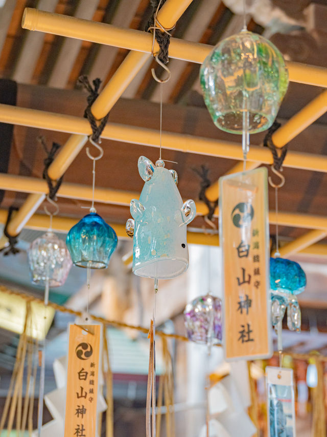 【新潟】映えを追求した神社⛩️🐥アニマルからおにぎりまでかわいいが大集合！