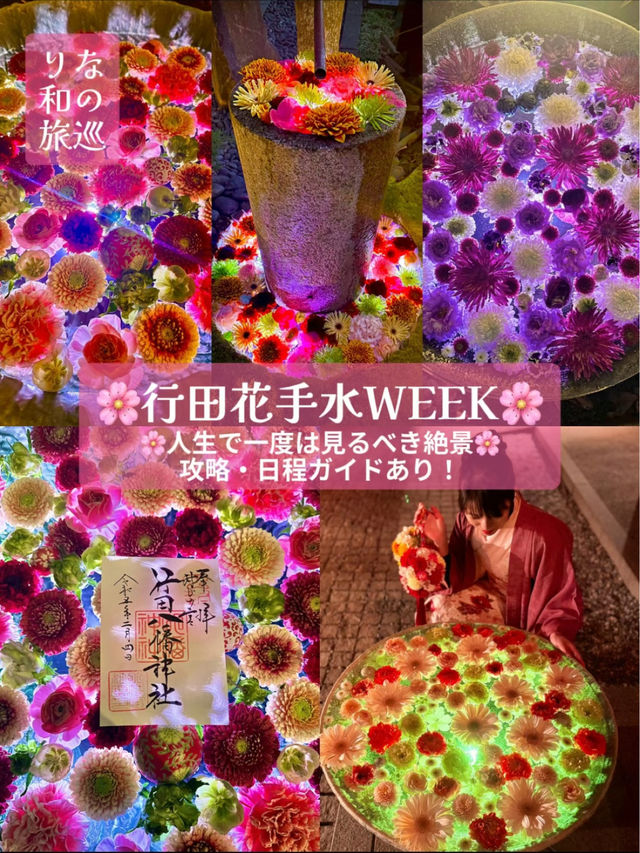 〜埼玉県〜【保存推奨】行田花手水イベント攻略🌸MAPあり