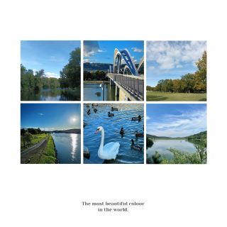 Wandle Valley Wetland：與大自然零距離接觸