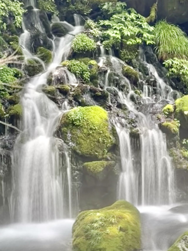 【秋田(にかほ市)】平成の滝百名の1つ！大迫力の鳥海山の湧水の滝