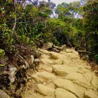**"Conquering Mount Kinabalu: A Rewarding Challenge"**