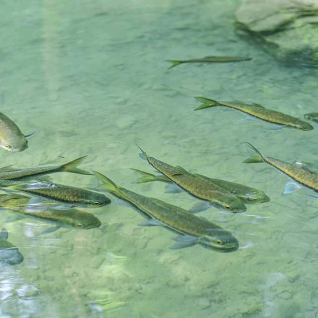 อุทยานแห่งชาติเอราวัณ​