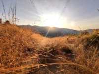 Bukit Malau Trailhead