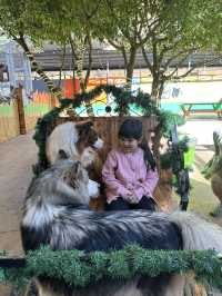 Must-Try Activities: A day at Puppy Farm