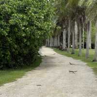 Fairchild Tropical Botanic Garden - Miami’s Lush Green Haven