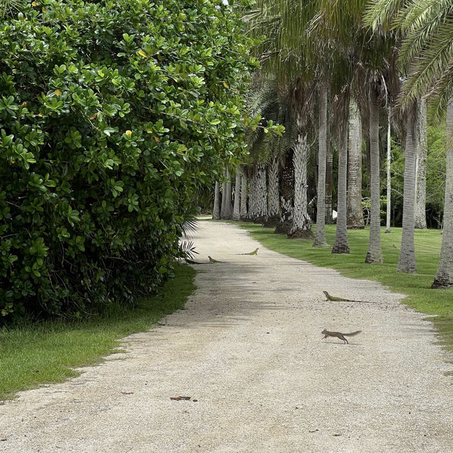 Fairchild Tropical Botanic Garden - Miami’s Lush Green Haven