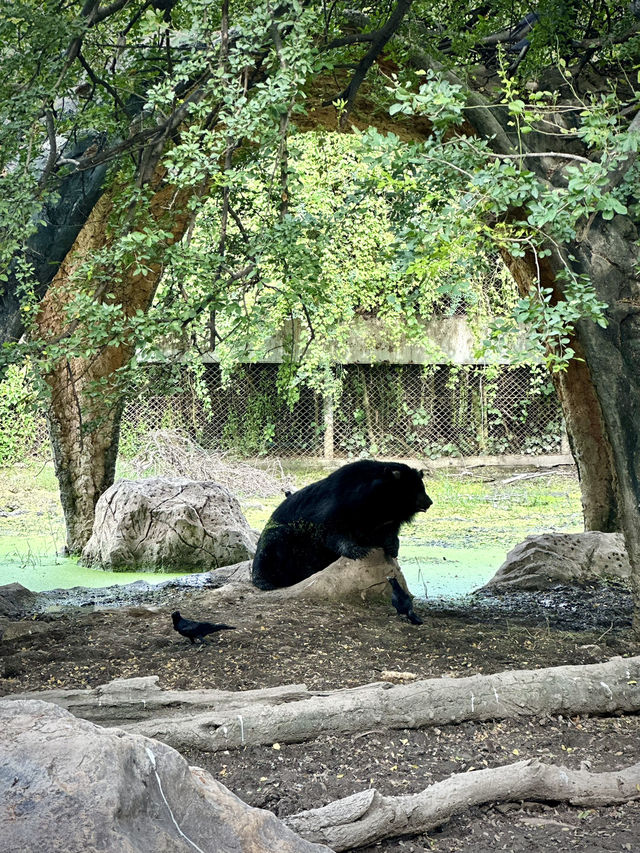 สวนสัตว์เปิด…🦏 เพลิดเพลินทั้งคนและสัตว์ 🦓