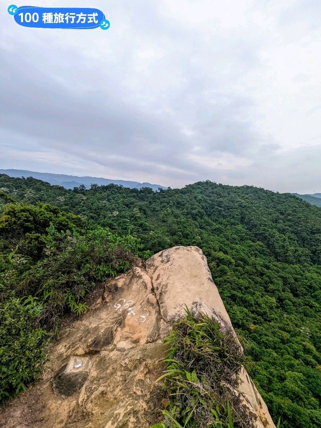 台北汐止-油桐花、螢火蟲一次看：內溝山登山步道