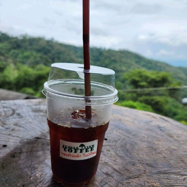 คาเฟ่บนดอย Jungle View Coffee