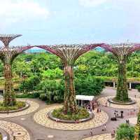 🇸🇬 Gardens by the Bay: A Symphony of Green in the City