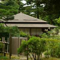 心靈平靜😌 伊麻神社