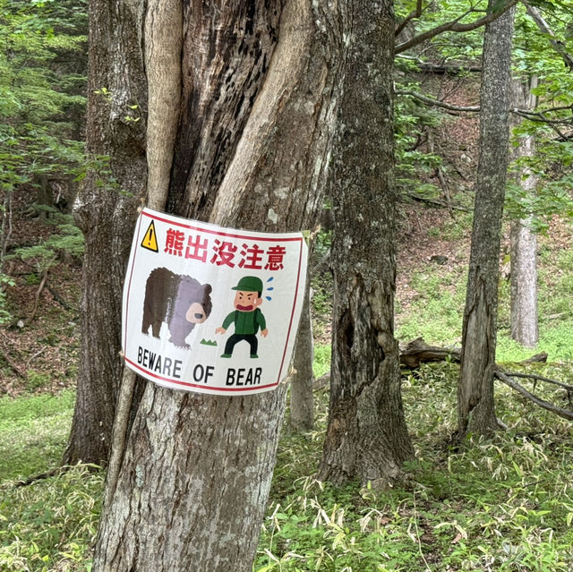 奧日光 戰場之原 徒步