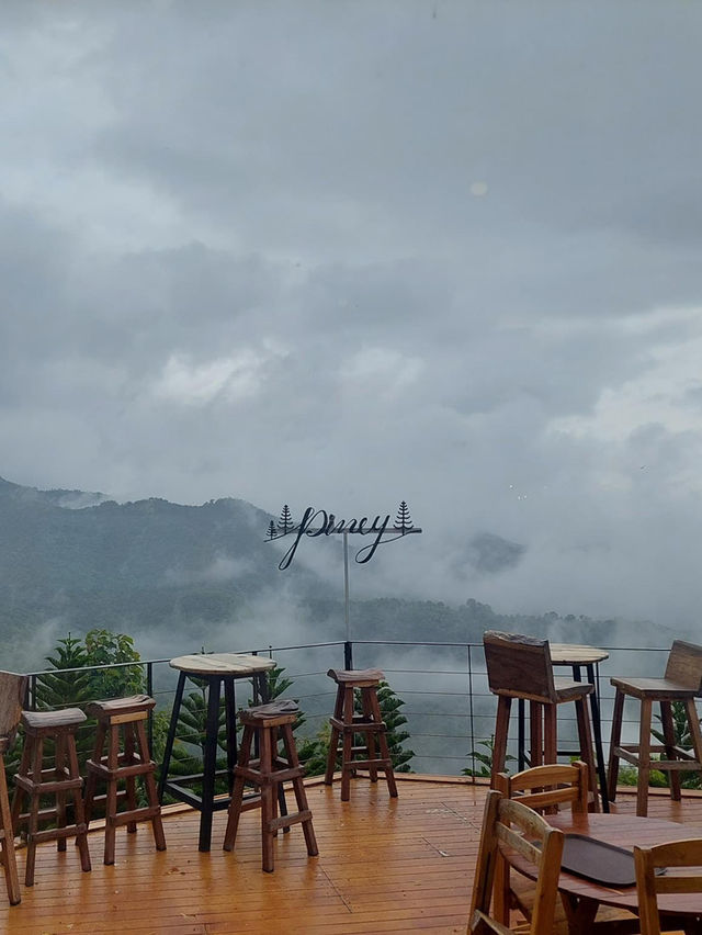 The Piney Bistro Cafe 