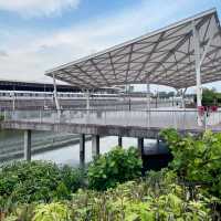 Amazing nature trail hike in Singapore!