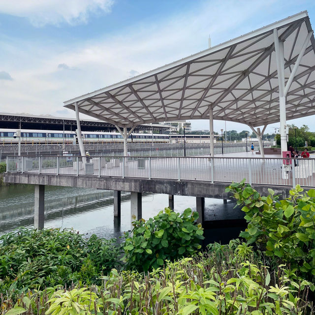 Amazing nature trail hike in Singapore!
