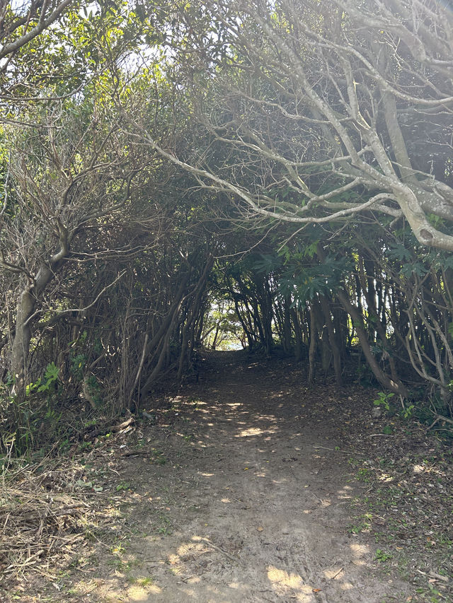 佐久島-アートと自然が融合した島