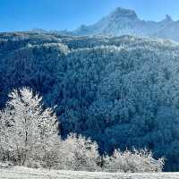 佐幌滑雪場的冰雪狂歡！⛷️❄️