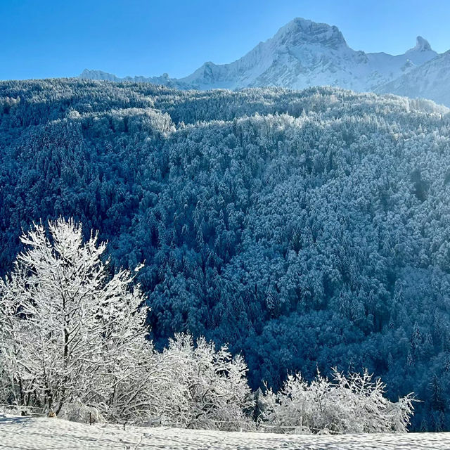 佐幌滑雪場的冰雪狂歡！⛷️❄️