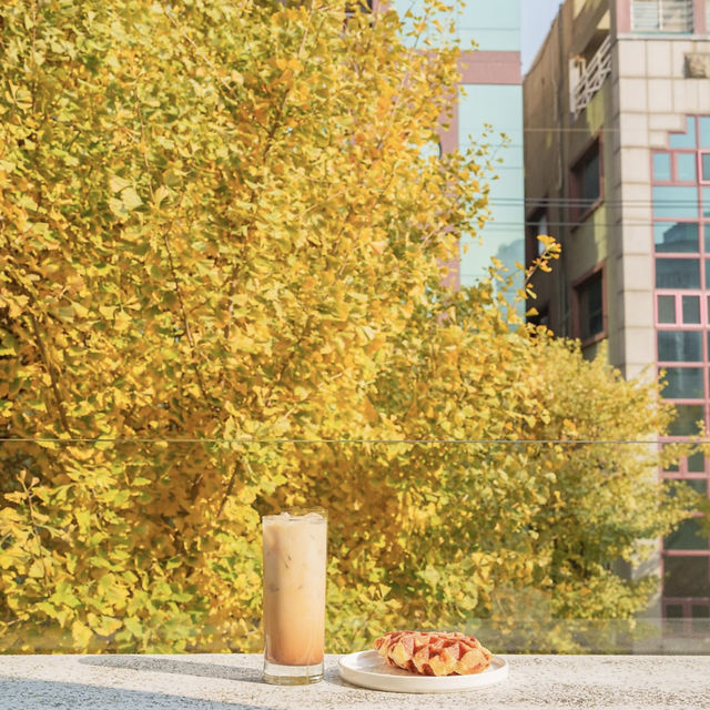 【韓国】韓国で秋シーズンに絶対行ってほしいカフェ🍁