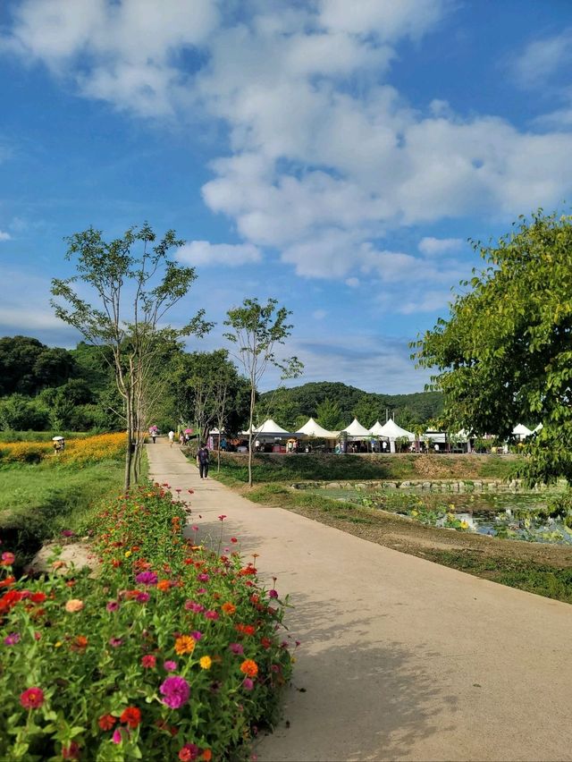 가을인생샷 남기려면 임진강댑싸리공원🧡