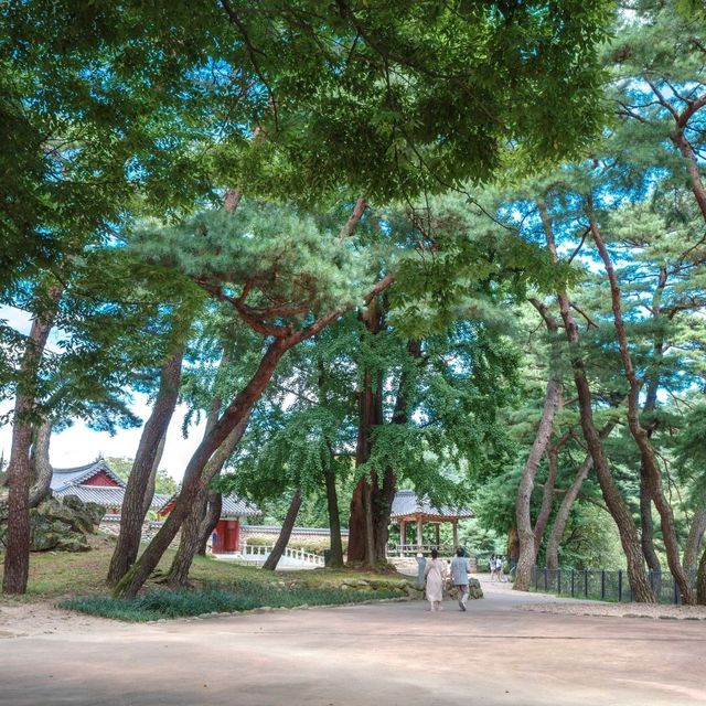 가을에 걸으면 더 좋은