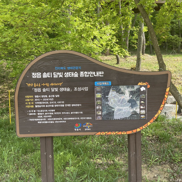 전북 정읍 내장산 국립공원 숲길🍀