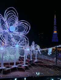 【サッポロファクトリー:北海道札幌市】毎年綺麗なクリスマスツリーが見れるよ🎄✨